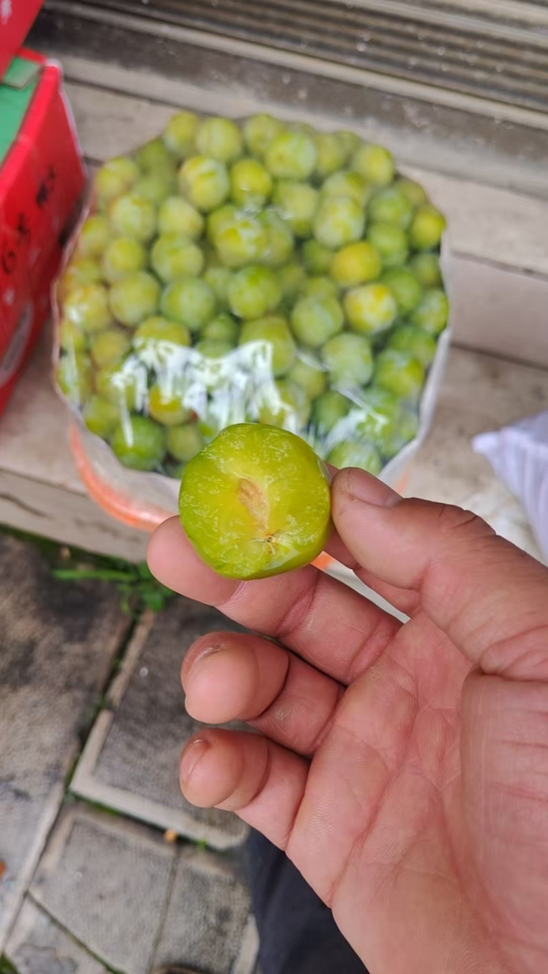 本地产的李子。有需要的可以联系我