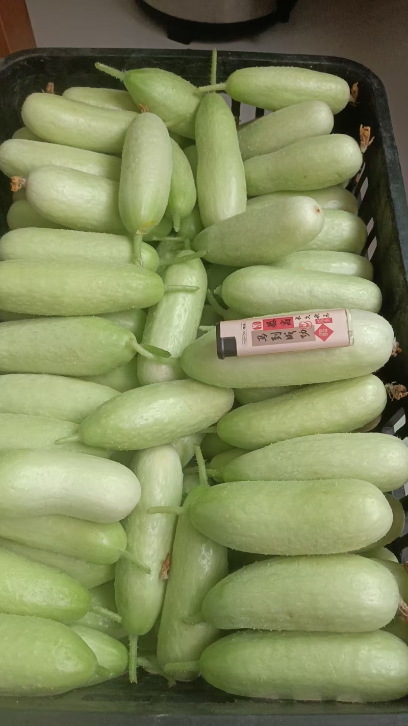 小黄瓜