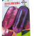 冰淇淋水果萝卜种子紫玉甜心冰激凌生吃甜脆秋播紫皮萝卜种子