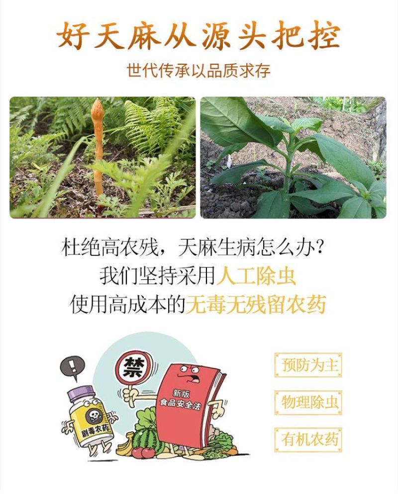 包邮）天麻非野生天然昭通小草坝特级整条片直播打粉500克