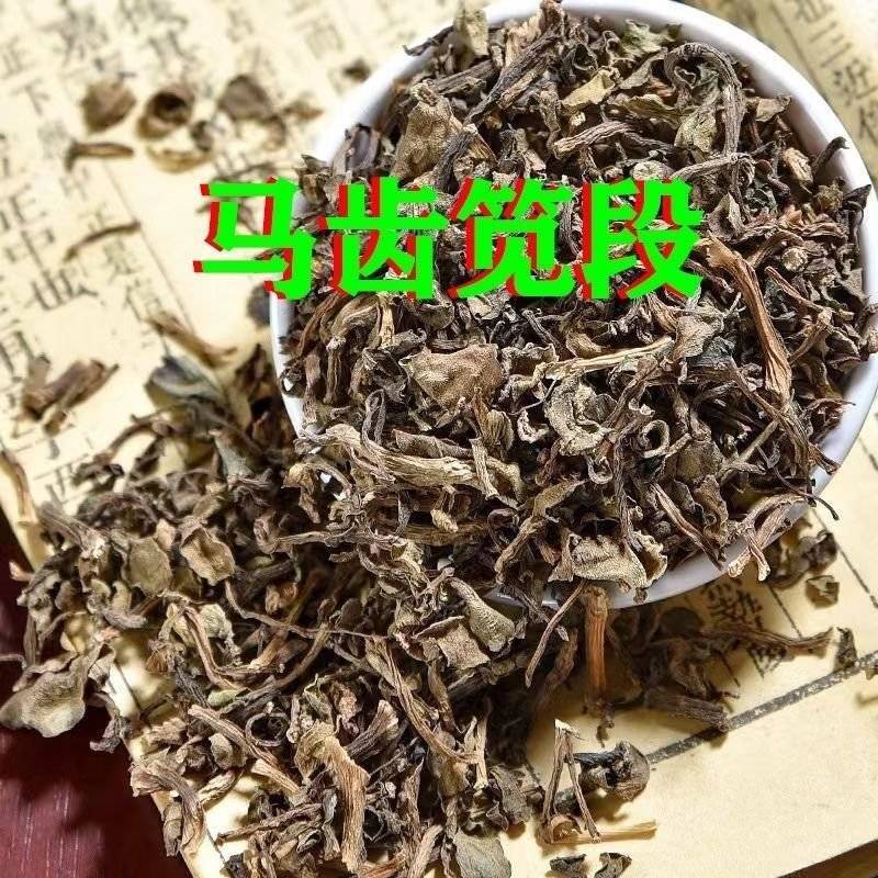 马齿苋新货无硫生晒马齿苋段批发零售