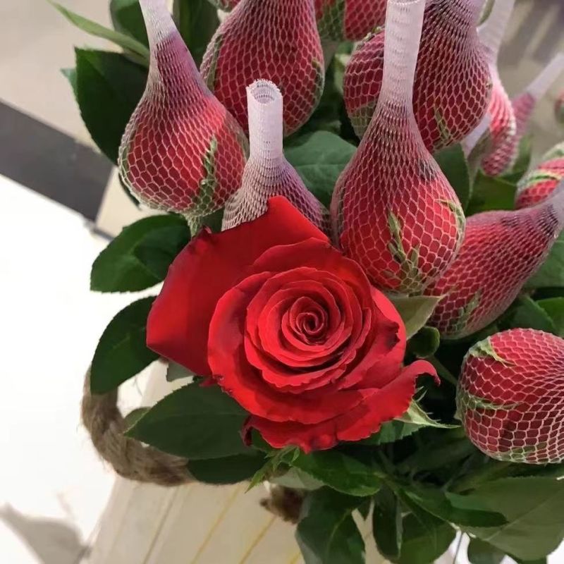 定制浪漫情侣花束:玫瑰伴蝴蝶小龙虾伴手礼为爱情添彩母亲节