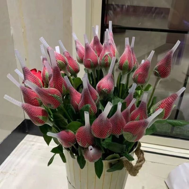 定制浪漫情侣花束:玫瑰伴蝴蝶小龙虾伴手礼为爱情添彩母亲节