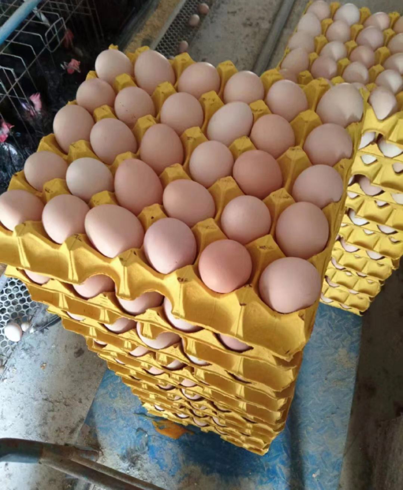 粮食鸡蛋批发