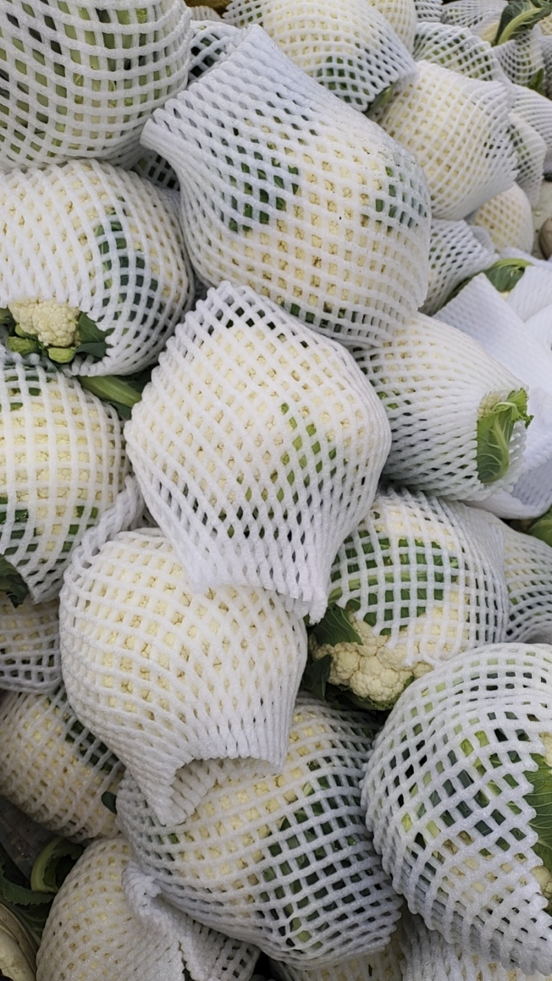花菜