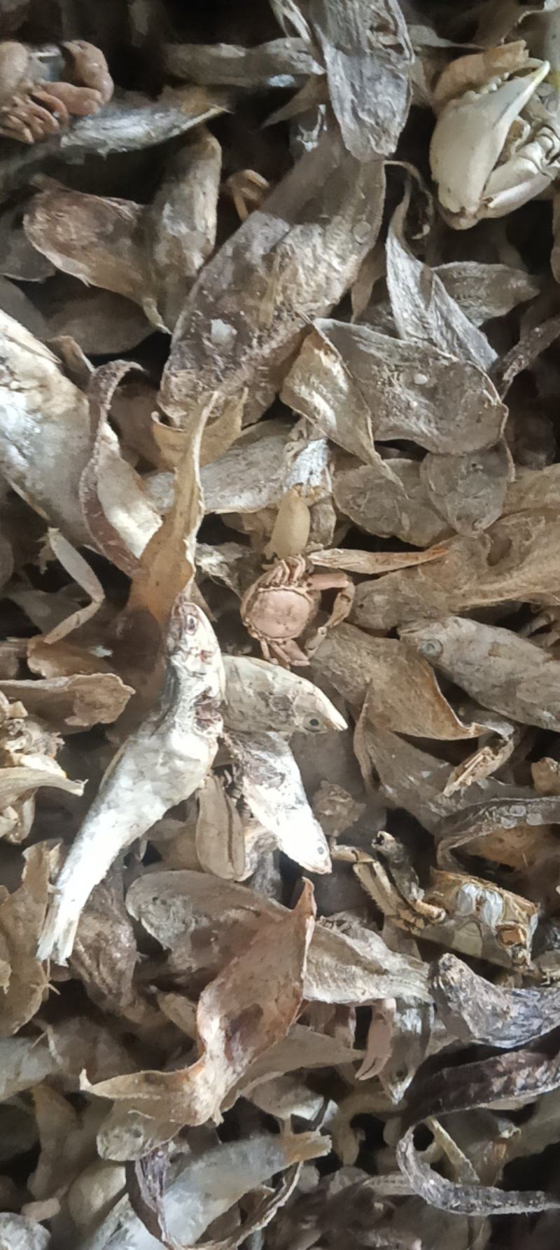 脱脂鱼粉，产地直供，量大从优，国产，进口各种货都有