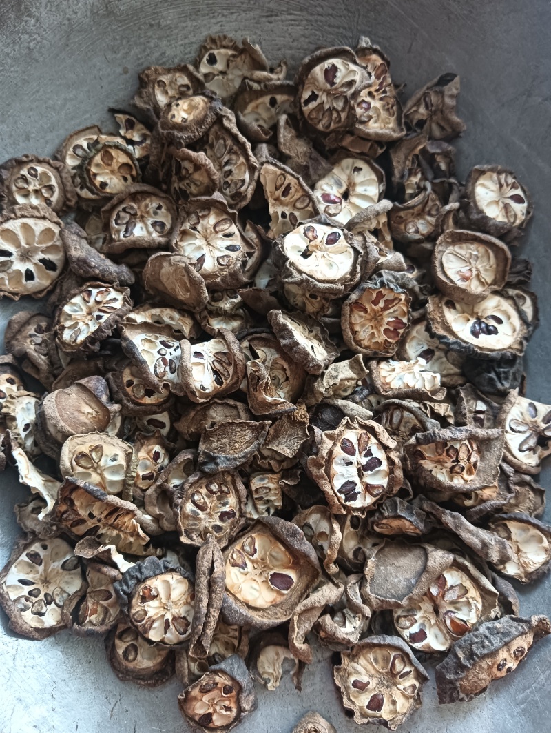 八月札八月扎八月瓜实物实拍现货供应批发各种中药