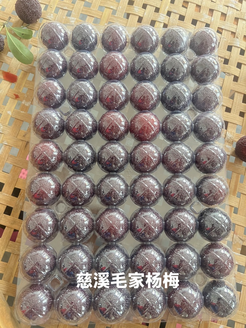 慈溪毛家杨梅