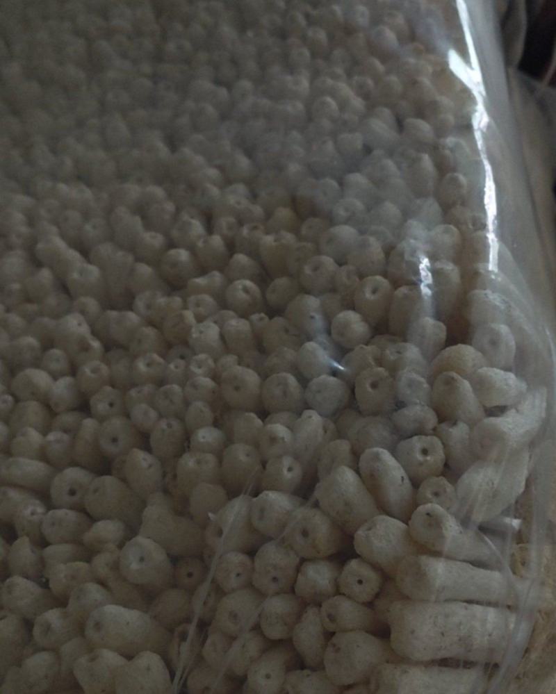 长郡竹荪竹荪蛋乡村现货新鲜干货