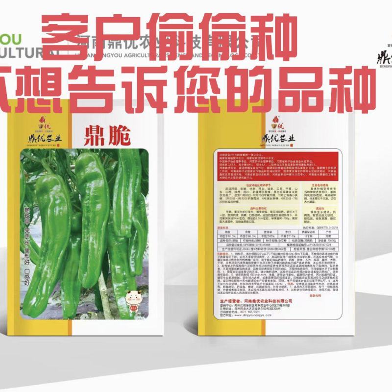鼎脆辣椒种子早熟果更长皮薄有皱耐高温耐低温果型上下一致