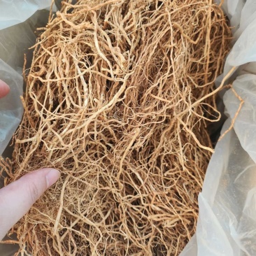 岩兰草马达加斯加岩兰草晒干一袋500克装