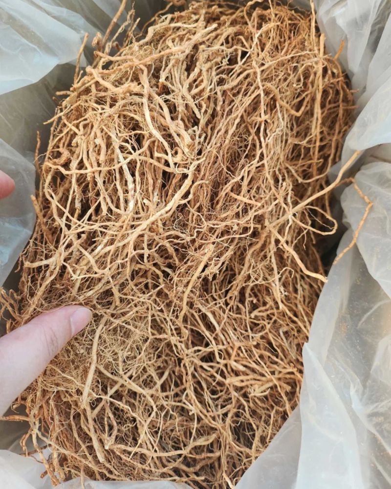岩兰草马达加斯加岩兰草晒干一袋500克装