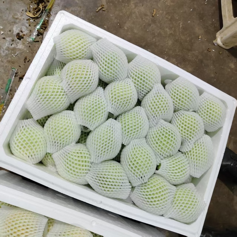 云南红河蒙自红心番石榴白心芭乐上市了欢迎进店选购