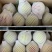 云南红河蒙自鹰嘴蜜桃大量上市品质保证诚信经营欢迎选购