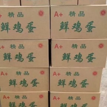 广西南宁新鲜鸡蛋，需要的老板联系，当天发货