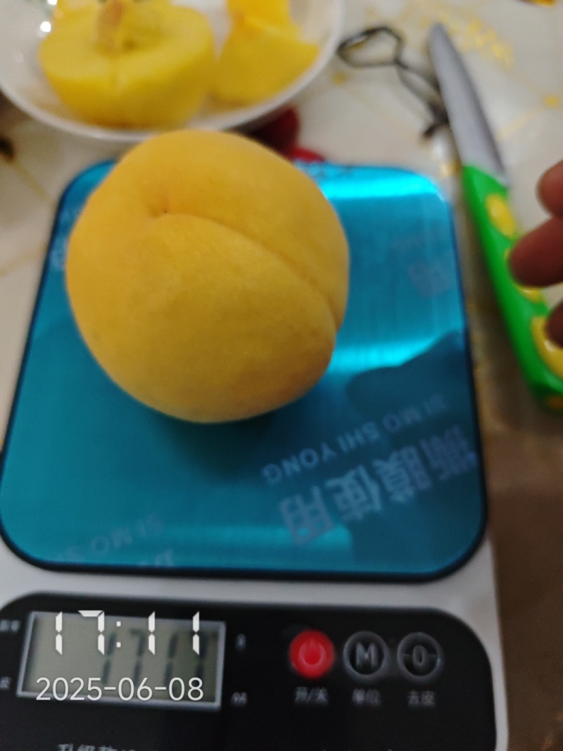 重庆锦春黄桃上巿，硬桃，白心，不脱骨，早熟，