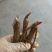 【视频看货】四年精品赤芍苗，基地直发，技术支持