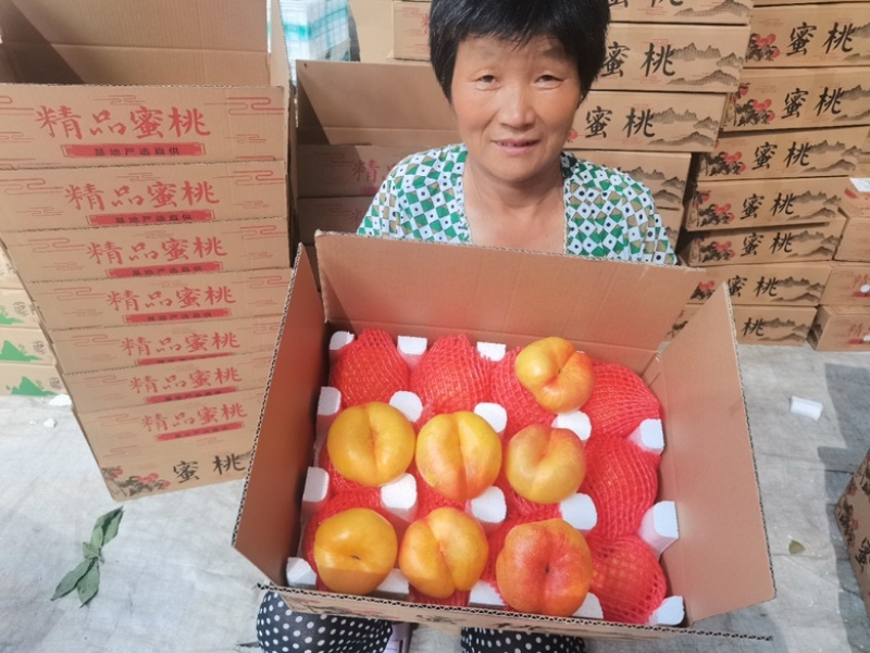 彩虹油蟠桃蒙阴新鲜黄金蟠桃黄桃果园直发，电商一件代发