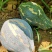 广西，香芋南瓜香甜，价格优惠，#原产地采购#价格美丽
