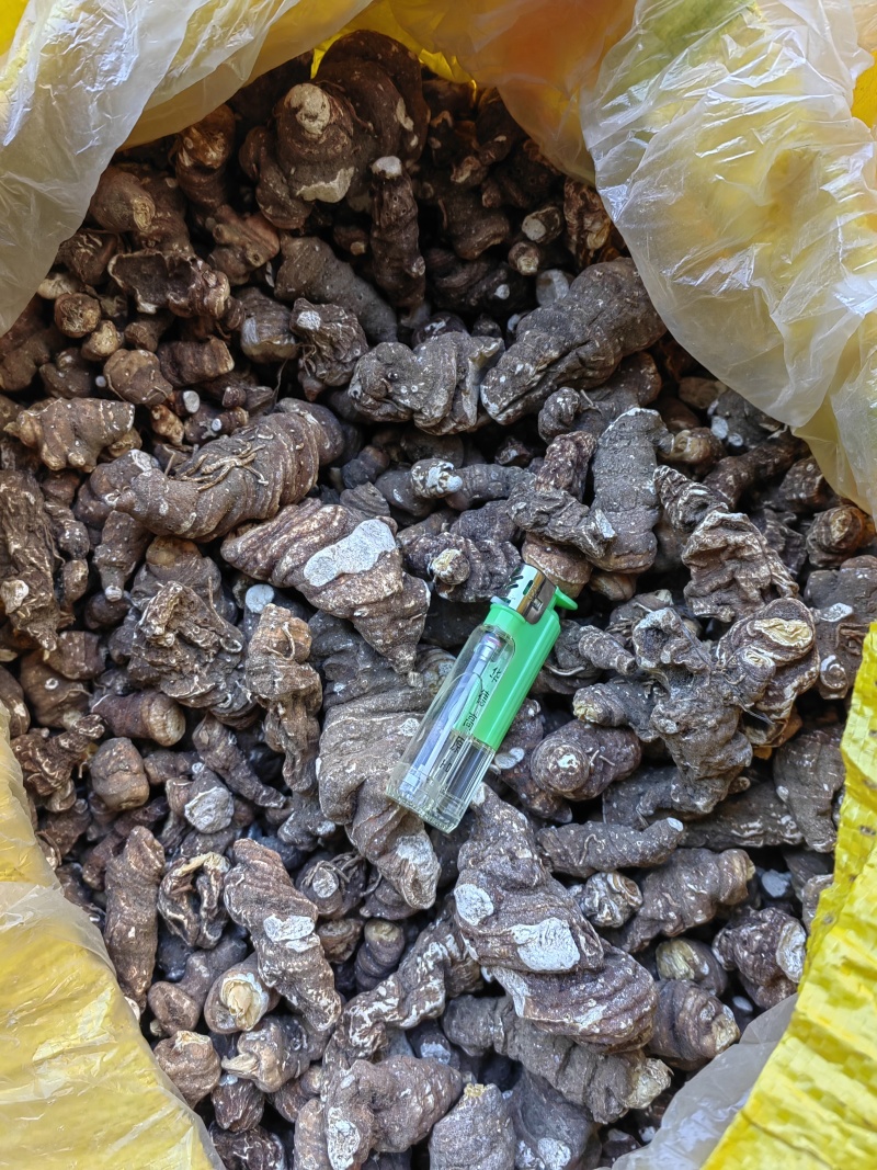 大量出售粉质重楼干货质量保证价格合理