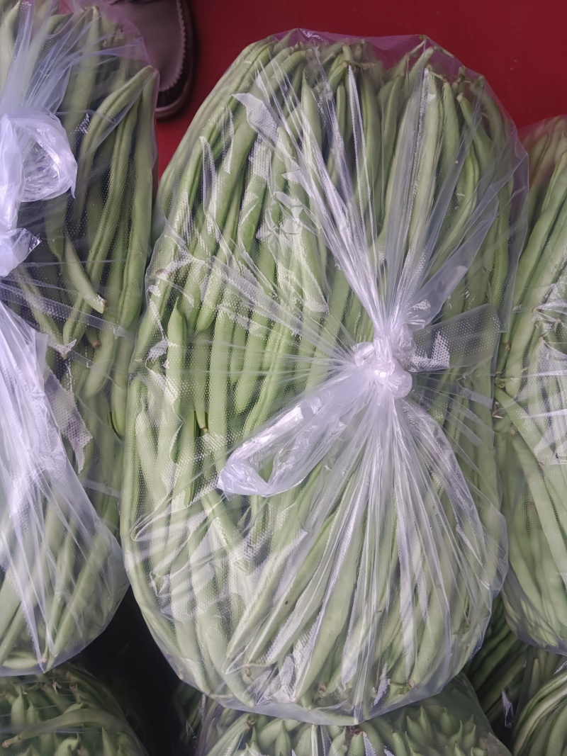 【热卖推荐】湖北天门四季豆产地直发一手货源视频看货