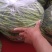 【热卖推荐】湖北天门四季豆产地直发一手货源视频看货