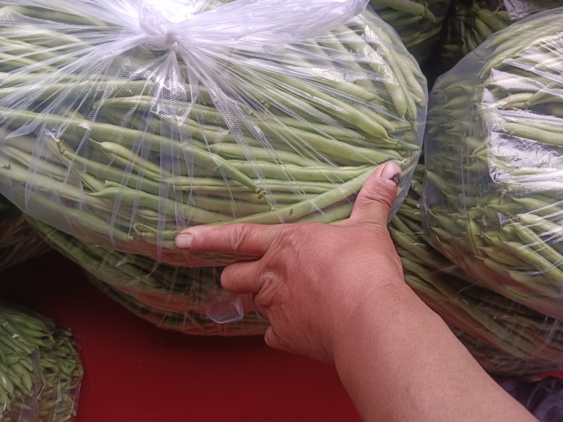 【热卖推荐】湖北天门四季豆产地直发一手货源视频看货