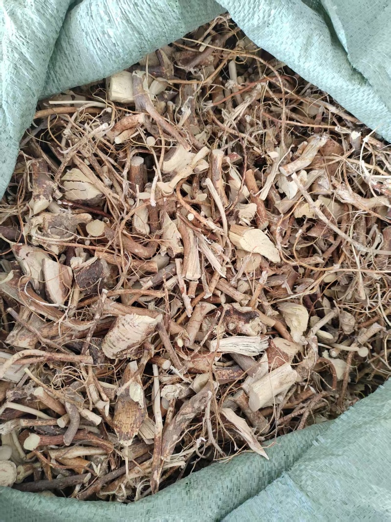 深山老林野生五指毛桃，大量有货，欢迎来洽谈，合作共赢