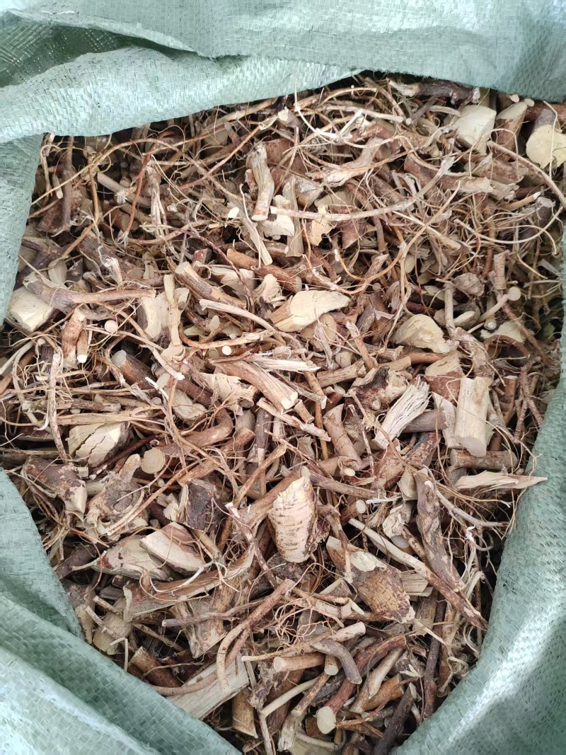 深山老林野生五指毛桃，大量有货，欢迎来洽谈，合作共赢