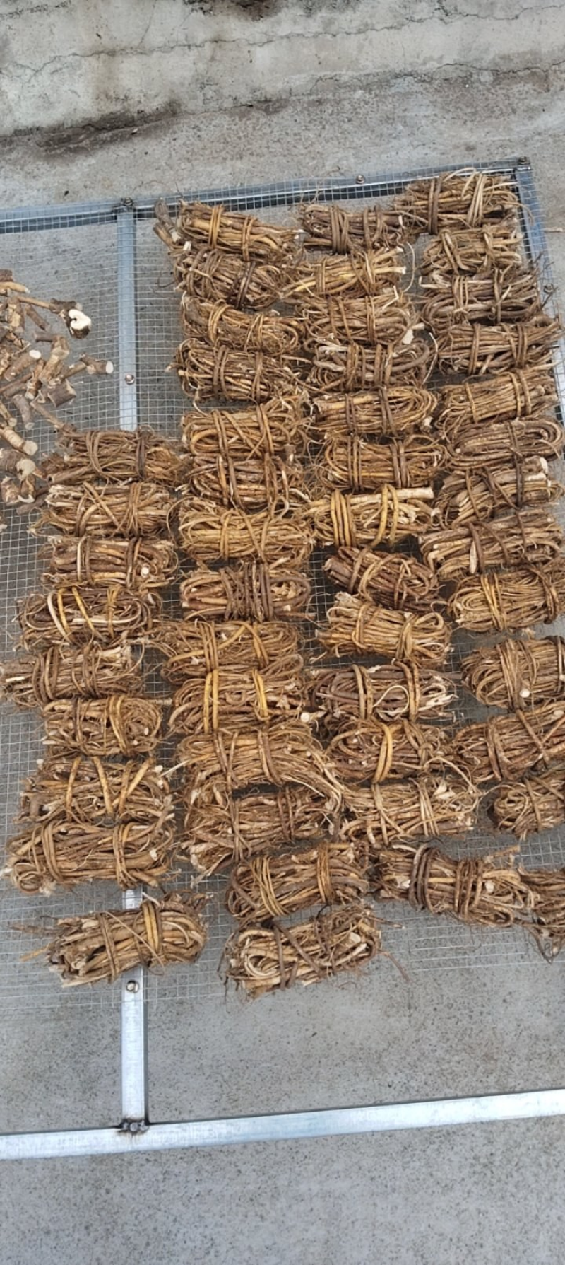 深山老林野生五指毛桃，大量有货，欢迎来洽谈，合作共赢