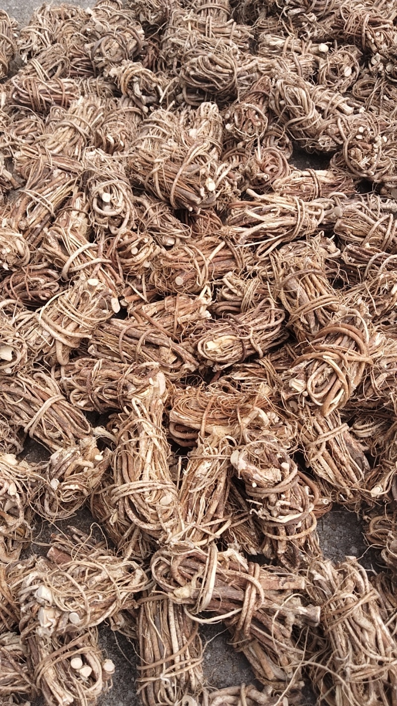 深山老林野生五指毛桃，大量有货，欢迎来洽谈，合作共赢