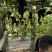 夏黑葡萄价格不高