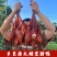 腊鸭整只湖南风味烟熏腊鸭全鸭肉真空湘西腊肉风干鸭板鸭农家制自