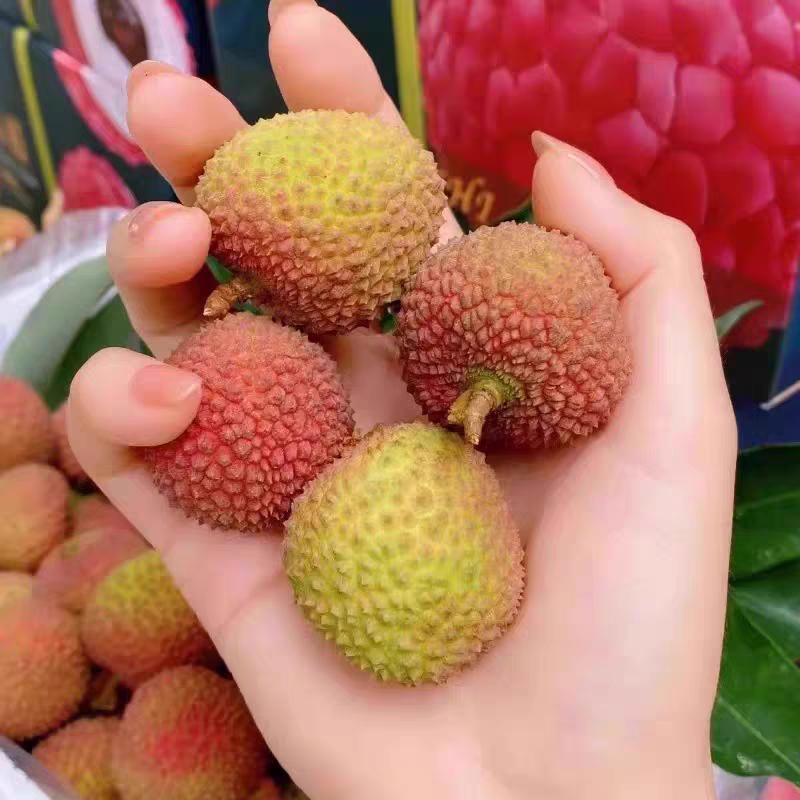 一件代发新鲜荔枝对接各大电商平台抖音快手多多淘宝现货供应