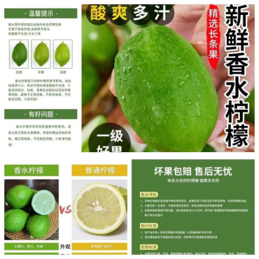 广东正宗香水柠檬