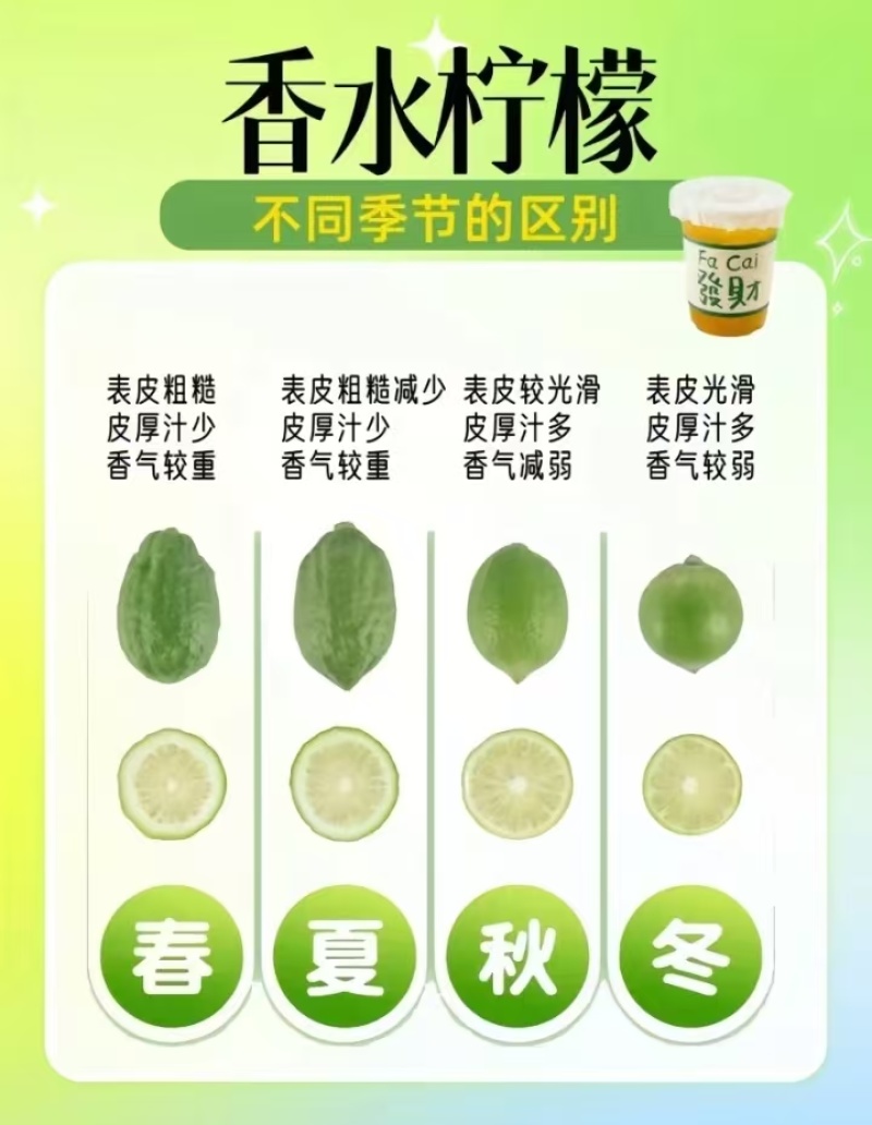 广东正宗香水柠檬