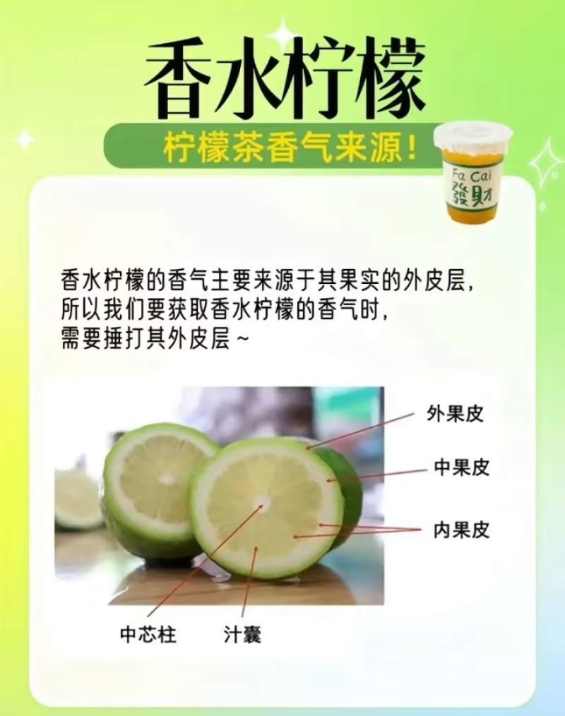 广东正宗香水柠檬