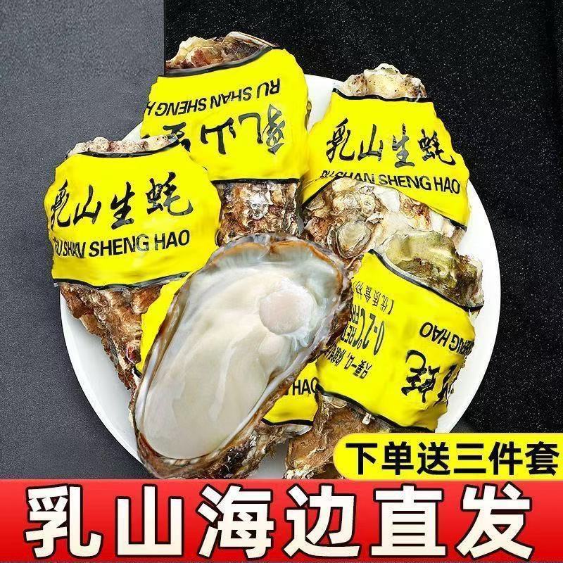 极速发货正宗乳山生蚝鲜活生蚝牡蛎带壳海蛎子海鲜水产贝类一整箱