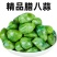 腊八蒜绿蒜新鲜泡蒜头山东特产腌制泡菜糖醋大蒜下饭菜食物批发