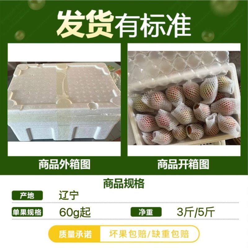 铁皮番茄丹东草莓柿子绿腚碱地柿子盘锦鹰爪西红柿生吃水果3斤
