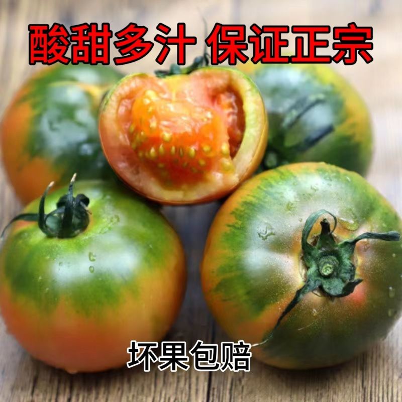 铁皮番茄丹东草莓柿子绿腚碱地柿子盘锦鹰爪西红柿生吃水果3斤