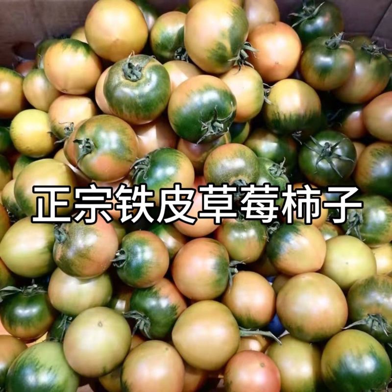 铁皮番茄丹东草莓柿子绿腚碱地柿子盘锦鹰爪西红柿生吃水果3斤