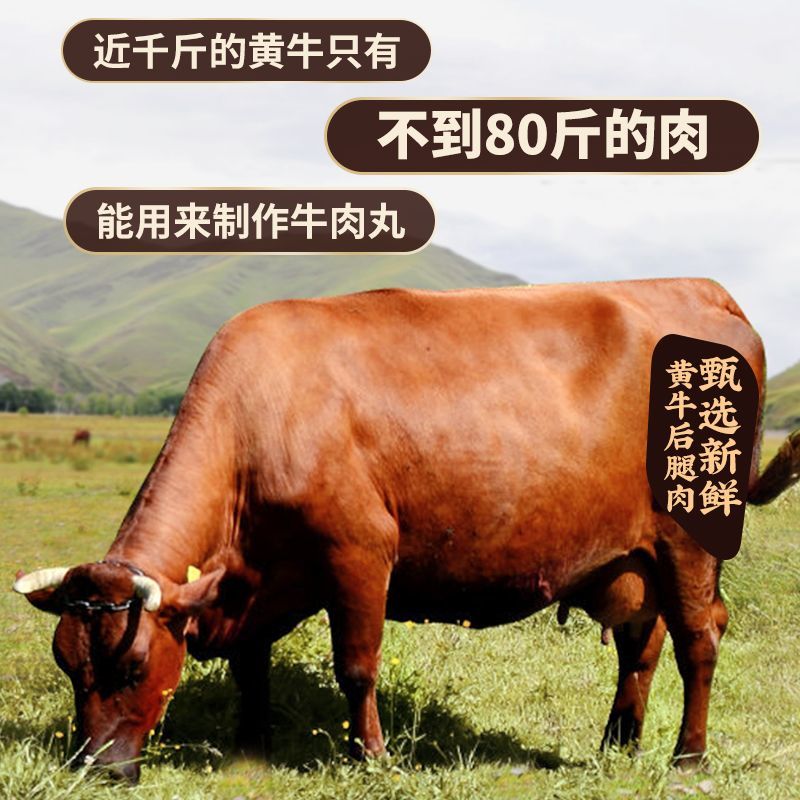 潮夫道潮汕牛肉丸牛筋丸手打正宗潮州汕头特产肉丸子火锅烧烤食材