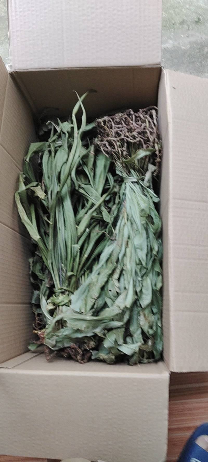 中药材