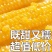 精选黄金水果玉米新鲜现摘甜脆玉米牛奶爆浆玉米可生吃嫩玉米