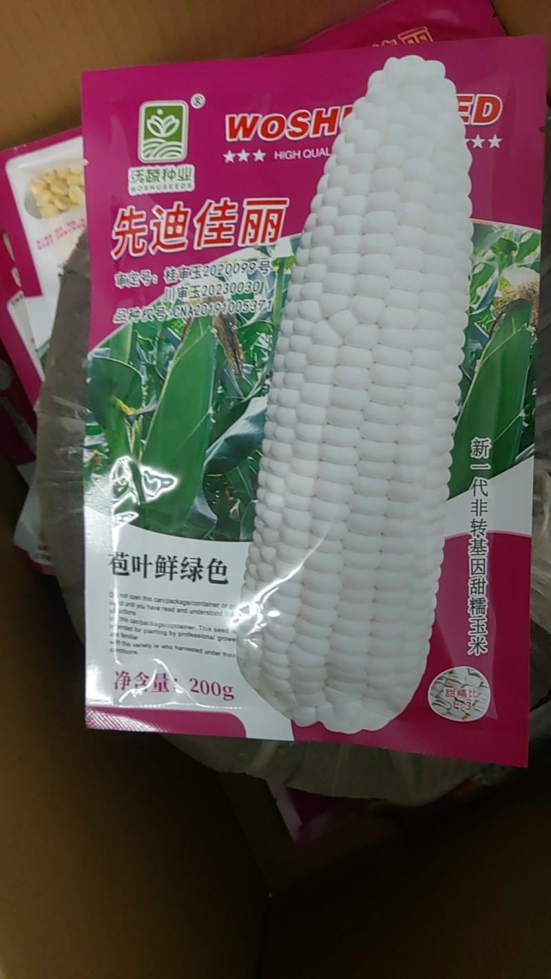 白甜糯玉米一手货源量大从优价格实惠欢迎来电