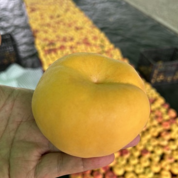 蟠桃