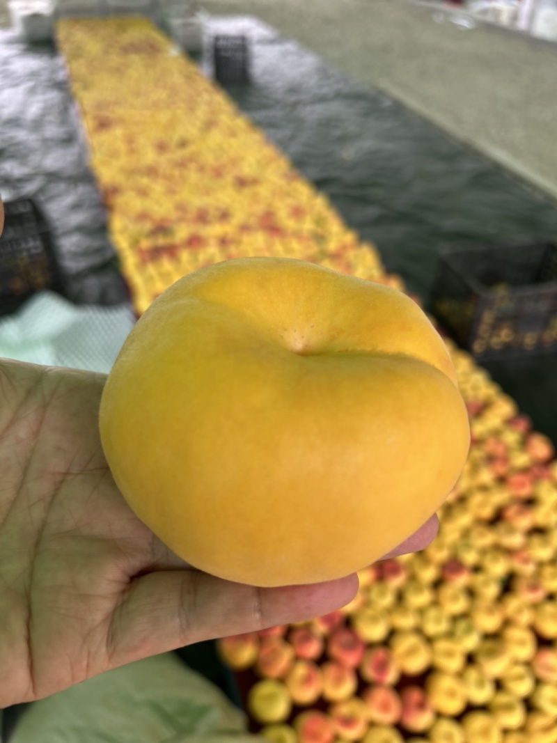 蟠桃