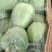 精品绿宝甜瓜大量上市产地一手货源支持一件代发欢迎订购