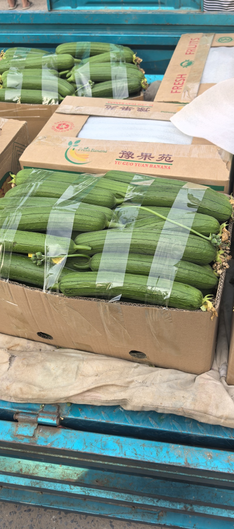 精品钓竿短丝瓜。拉直技术。颜值担当，全国供应批发